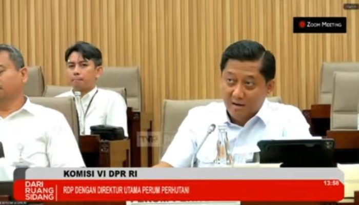 Perhutani Genjot Biomassa, Siapkan Langkah Besar Energi Hijau