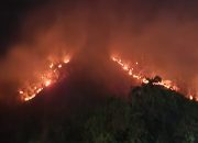 Kebakaran Klatakan, Cermin Buram Tata Kelola Hutan Situbondo