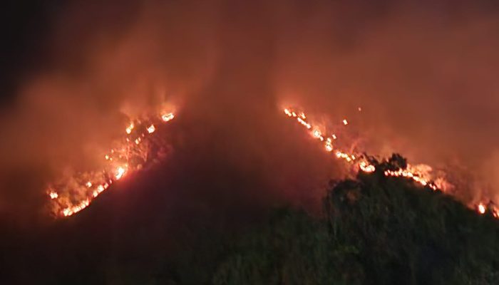 Kebakaran Klatakan, Cermin Buram Tata Kelola Hutan Situbondo