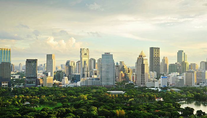 Kota Hijau, Kota Sehat: Langkah Nyata Menuju Lingkungan Berkelanjutan