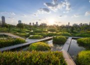 Ruang Terbuka Hijau, Kunci Kota yang Sehat dan Nyaman Dihuni