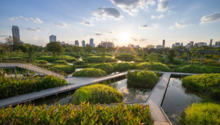 Ruang Terbuka Hijau, Kunci Kota yang Sehat dan Nyaman Dihuni