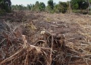 Banjir Bandang Akhir 2025 Jadi Alarm Kerusakan Lingkungan di Sejumlah Wilayah Jawa Timur