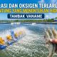 Aerasi dan Oksigen